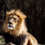 BD8A0885-103-1.jpg