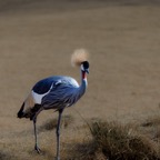 BD8A0950-168-1.jpg